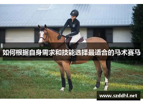 如何根据自身需求和技能选择最适合的马术赛马