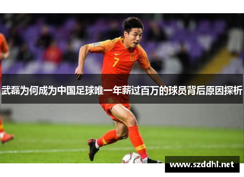 武磊为何成为中国足球唯一年薪过百万的球员背后原因探析