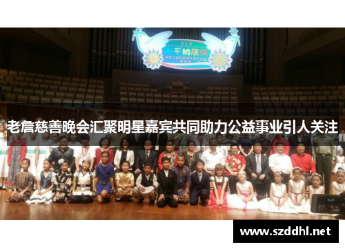 老詹慈善晚会汇聚明星嘉宾共同助力公益事业引人关注