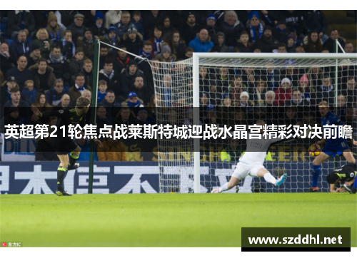 英超第21轮焦点战莱斯特城迎战水晶宫精彩对决前瞻
